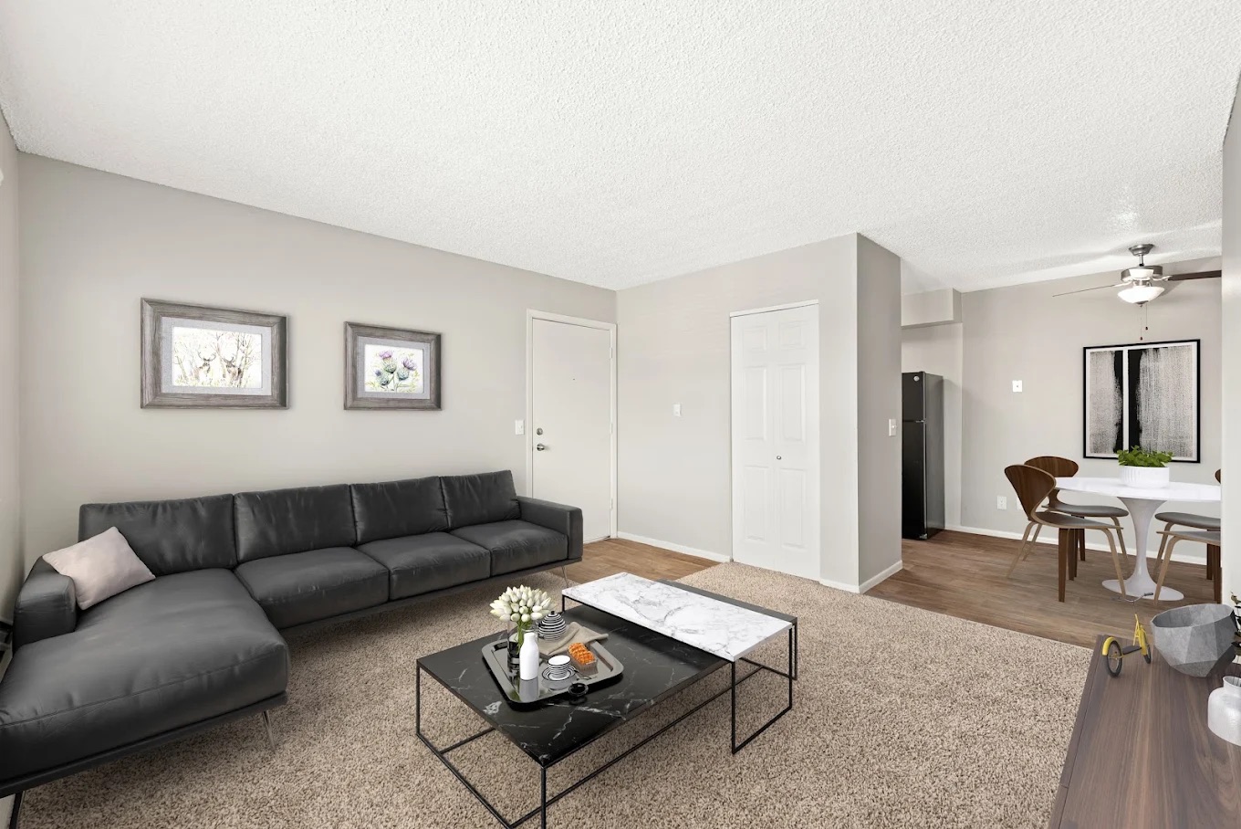 Laredo House apartment living room